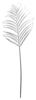Liść palmy srebrny 90cm