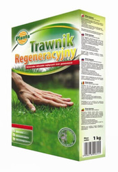 Nasiona trawy Regeneracyjnej 1kg Planta