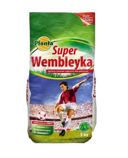 Nasiona traw Super Wembleyka 5 kg Planta