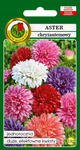 Nasiona Aster chryzantemowy mieszanka 0,8g