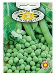Nasiona Groch siewny łuskowy Cud Kelvedonu 40g