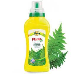 Nawóz do paproci Vit-3 450ml Planta