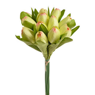 Bukiet żółto-brązowych tulipanów 12 gałązek 35cm