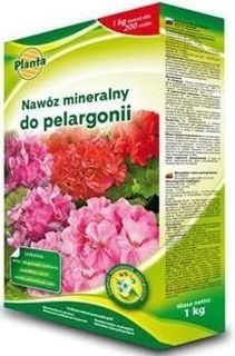 Nawóz do pelargoni 1kg Planta