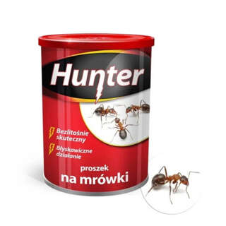 Proszek na mrówki Hunter 100g